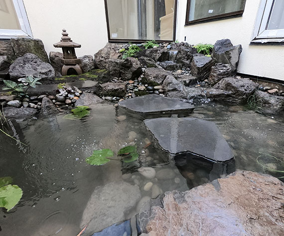 After Water Feature Pond