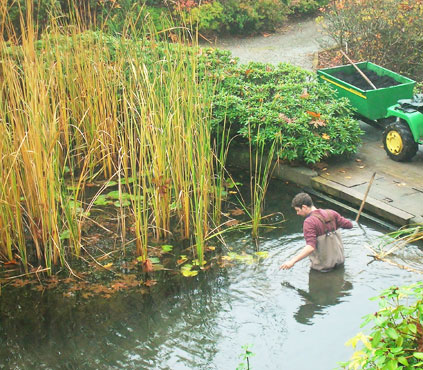 Pond maintenance